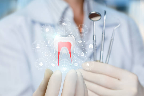 Best Traditional Braces  in Maan, ND